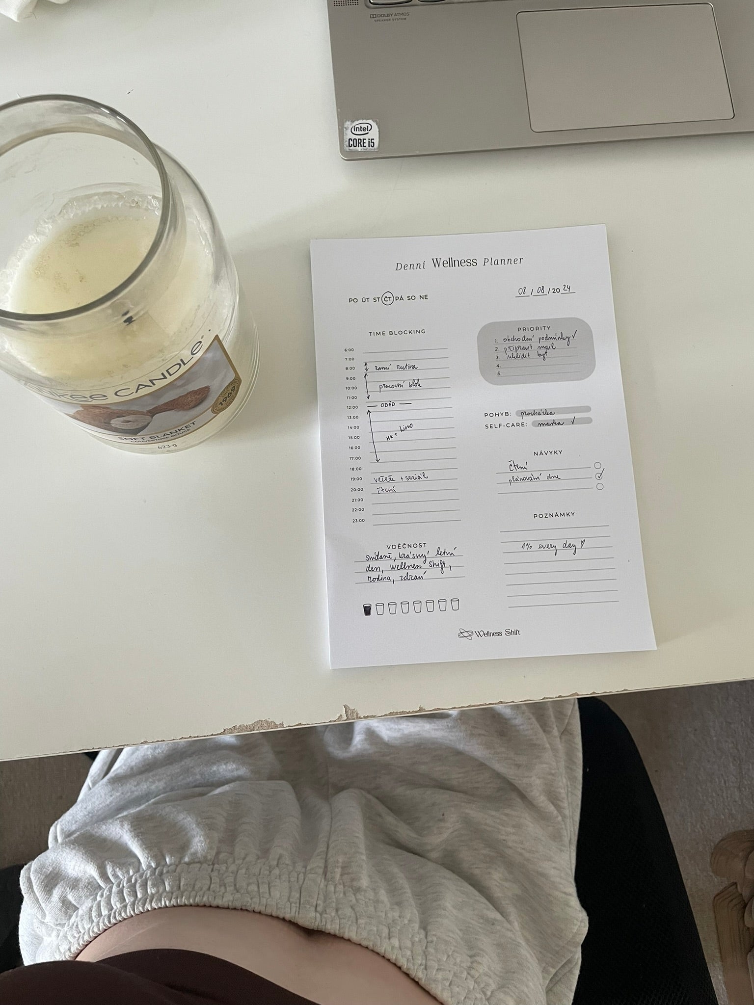 Denní Wellness Planner