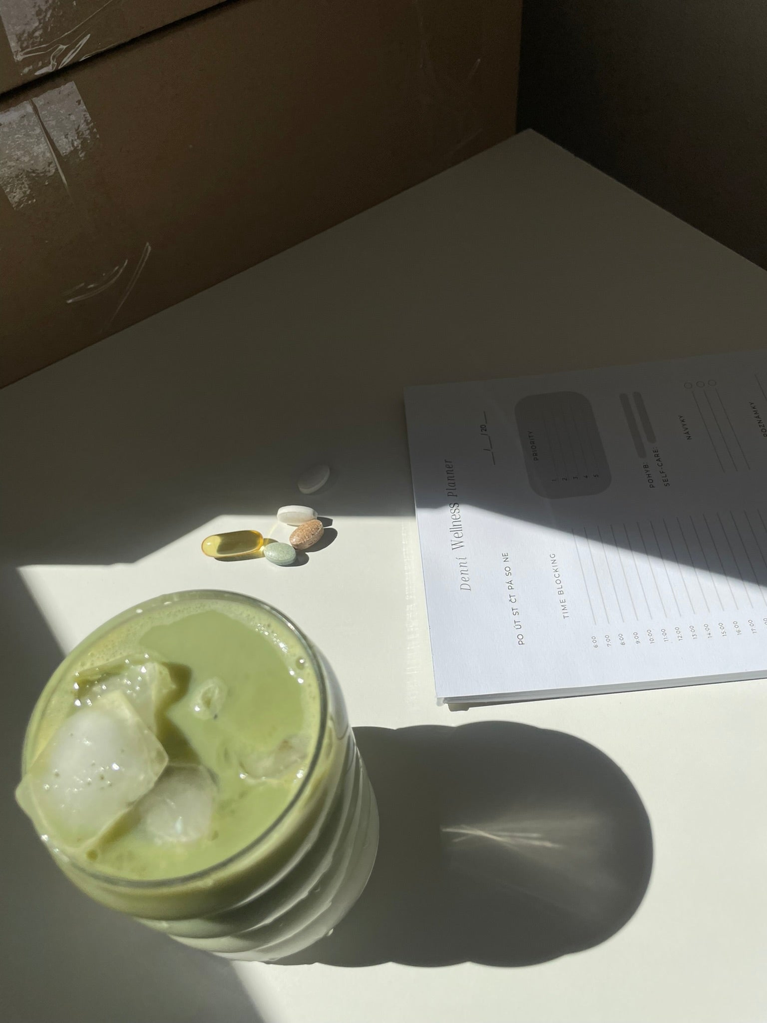 Denní Wellness Planner